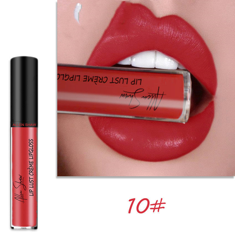 2 in 1- Glänzender Lipgloss & Lippenstift - ALLEN SHAW
