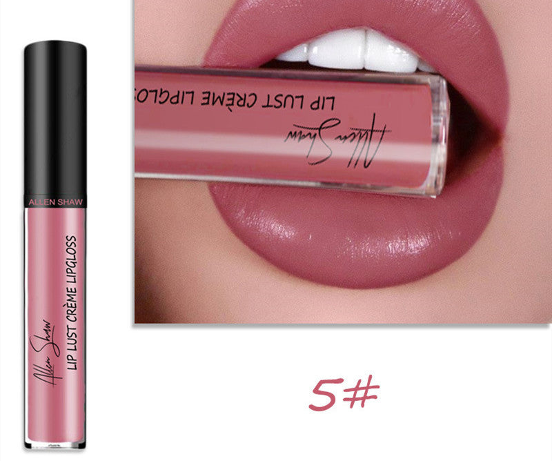 2 in 1- Glänzender Lipgloss & Lippenstift - ALLEN SHAW