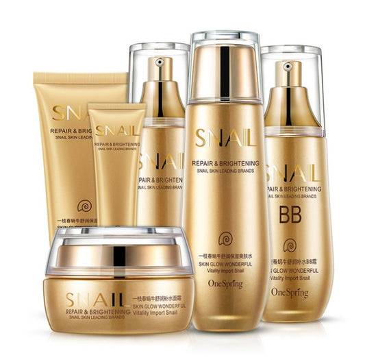 6-teiliges Set feuchtigkeitsspendender und hydratisierender Pflegekosmetik- SNAIL