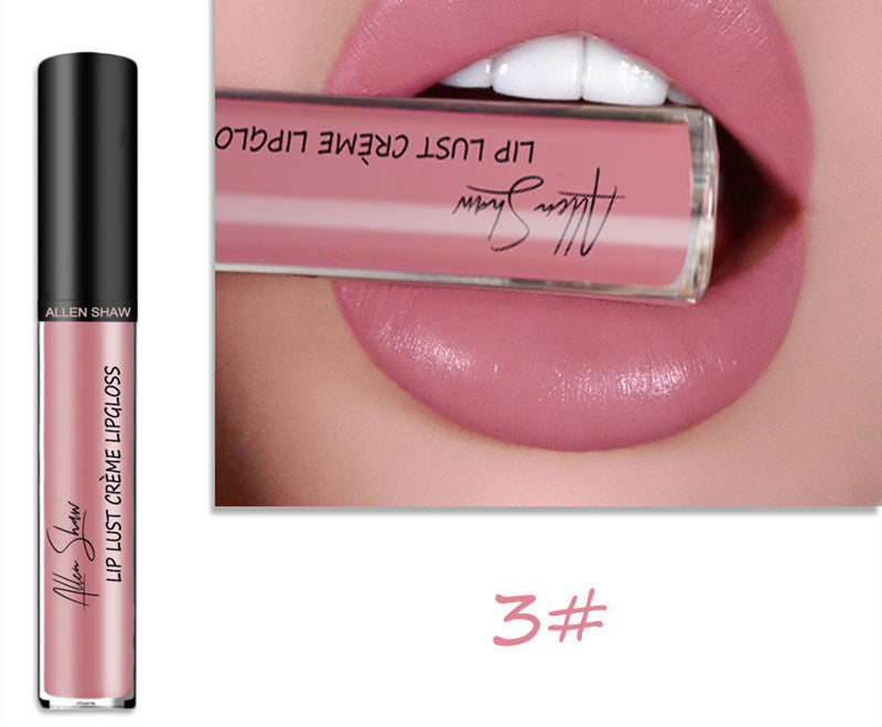 2 in 1- Glänzender Lipgloss & Lippenstift - ALLEN SHAW