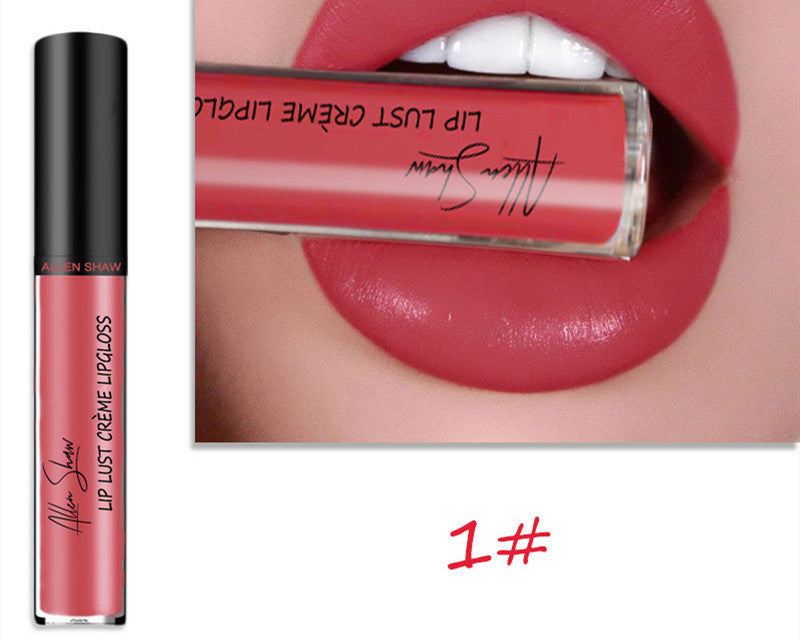 2 in 1- Glänzender Lipgloss & Lippenstift - ALLEN SHAW
