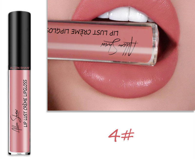 2 in 1- Glänzender Lipgloss & Lippenstift - ALLEN SHAW