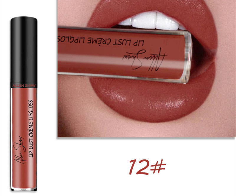 2 in 1- Glänzender Lipgloss & Lippenstift - ALLEN SHAW