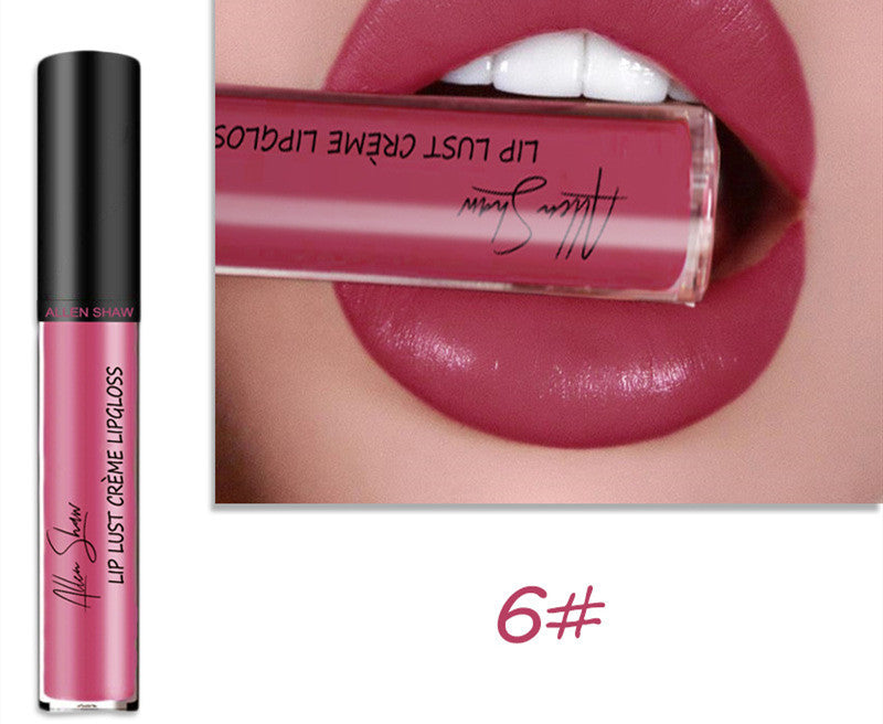 2 in 1- Glänzender Lipgloss & Lippenstift - ALLEN SHAW