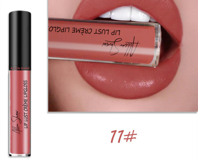 2 in 1- Glänzender Lipgloss & Lippenstift - ALLEN SHAW