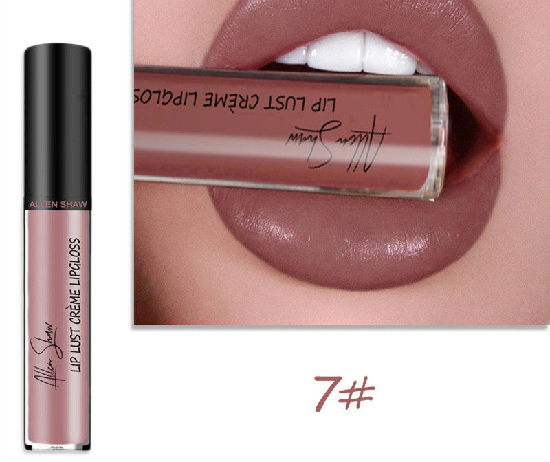 2 in 1- Glänzender Lipgloss & Lippenstift - ALLEN SHAW