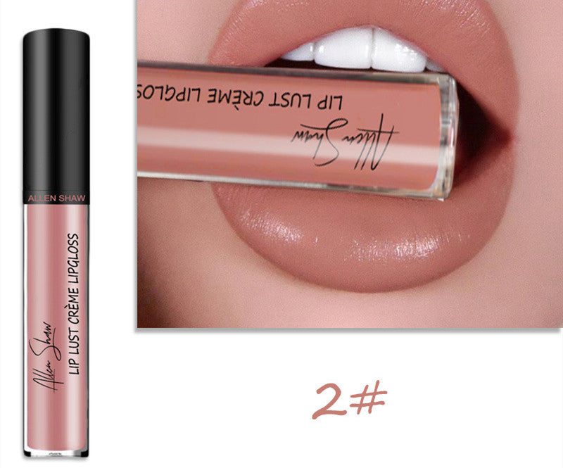 2 in 1- Glänzender Lipgloss & Lippenstift - ALLEN SHAW
