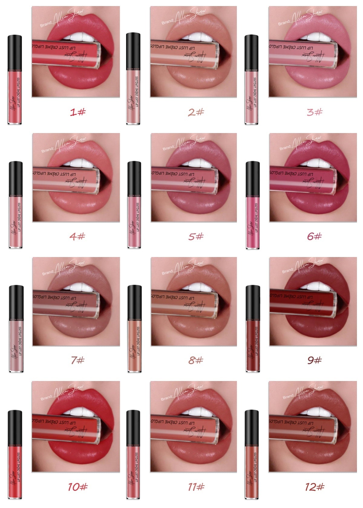 2 in 1- Glänzender Lipgloss & Lippenstift - ALLEN SHAW
